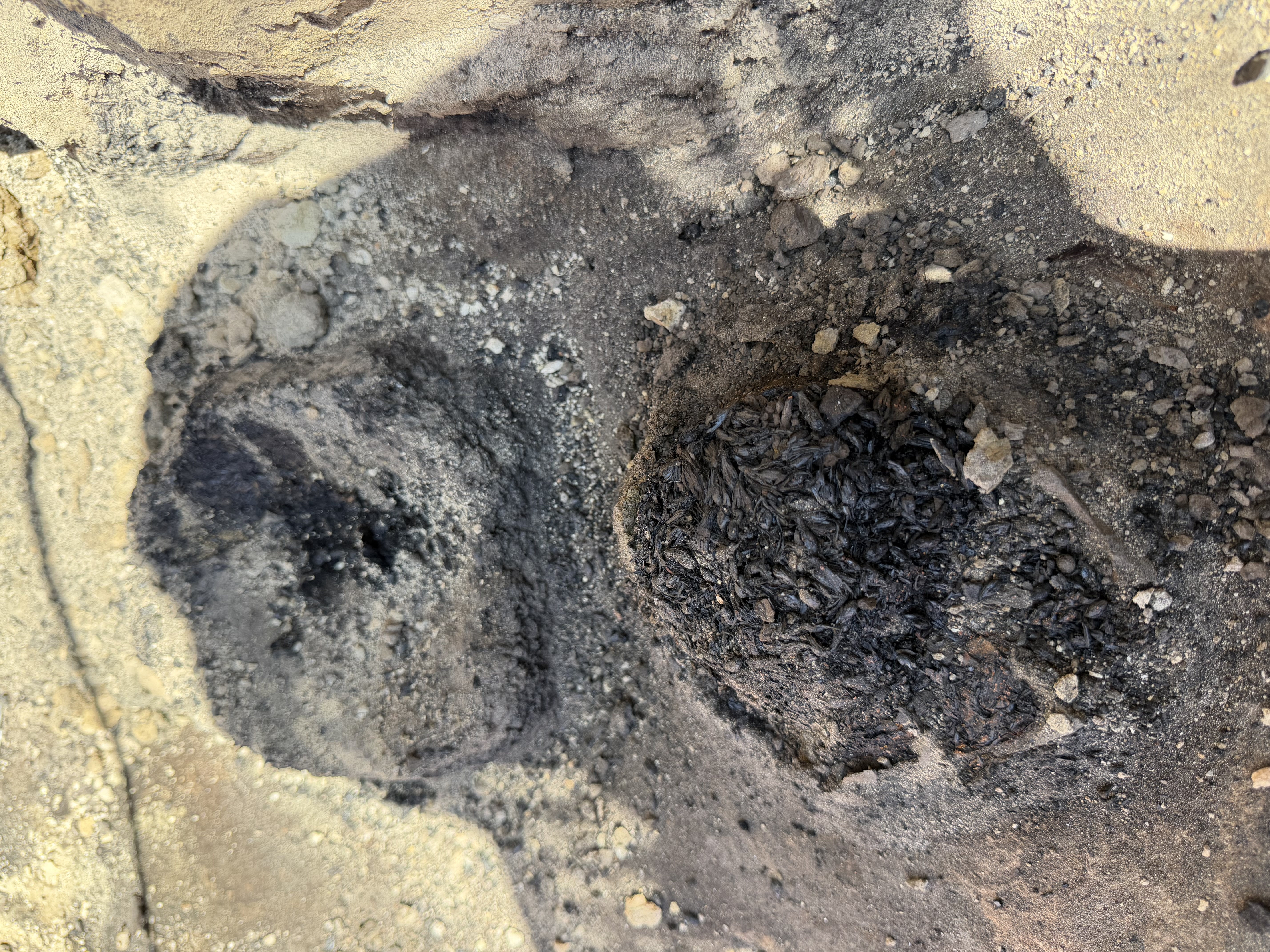 Beer Was Produced at Solnitsata 6,500 Years Ago